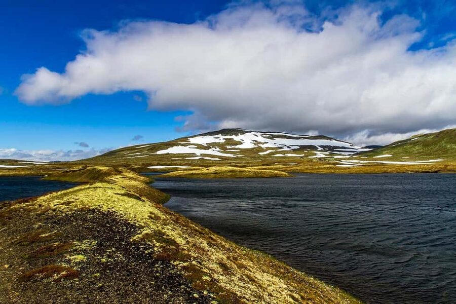 Eidfjord: Shore Excursion with Scenic Adventure - Eidfjord is the right cruise stop for Hardanger nature
