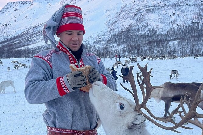 Exclusive Reindeers Experience in small groups, Tromso - Hot cabin time: snacks, warmth, and a pause from the cold