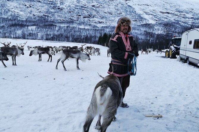 Exclusive Reindeers Experience in small groups, Tromso - Shopping handmade Sámi products at the camp