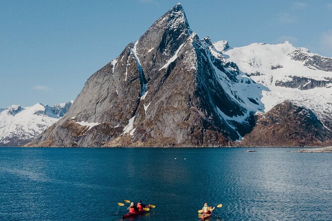 Explore Reinefjord by kayak (3 hours) - Key highlights to look for