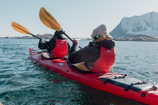 Explore Reinefjord by kayak (3 hours) - What physical fitness level to expect