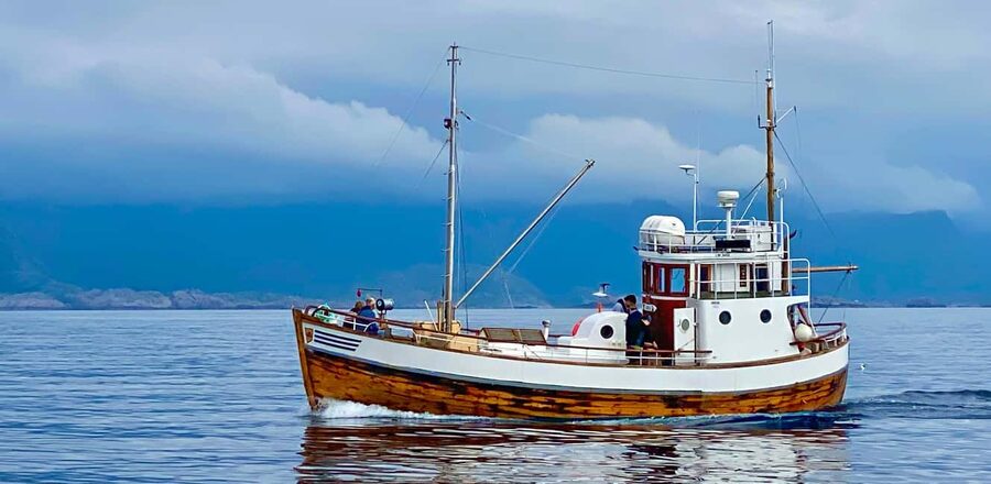 Fishing trip from Henningsvær + free (self caught) fish soup - Getting on board: meeting point, timing, and included gear