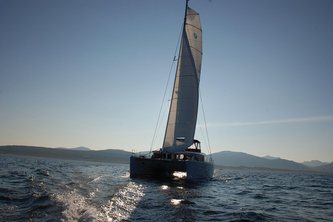 Fishing Trip with Luxury Catamaran in Tromso - The Meal: Why Catch-Then-Cook Is the Real Value