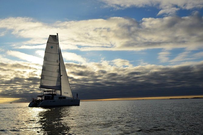 Fishing Trip with Luxury Catamaran in Tromso - Who Are the Guides, and What Makes Their Help Worth It?