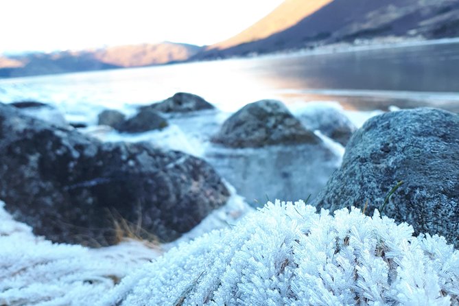 Fjord, Mountain and Wildlife Tour - What to Expect at the Fjord Stops (Even When It’s Grey)