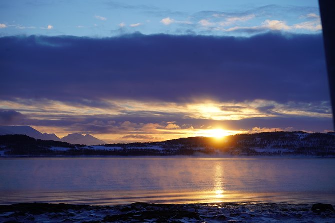 Fjord, Mountain and Wildlife Tour - Guides and Drivers: What Makes the Experience Better Than a Drive