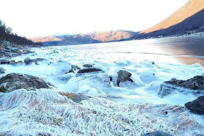 Fjord, Mountain and Wildlife Tour - Price and Value: What You’re Paying For at $123.78
