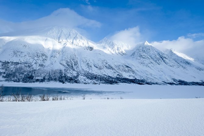 Fjord, Mountain and Wildlife Tour - The Half-Day Timeline That Actually Works in Winter