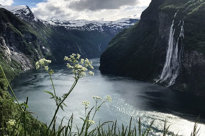 Fjordcruise Ålesund Geirangerfjord T/R - Should you book the Ålesund to Geirangerfjord T/R cruise?