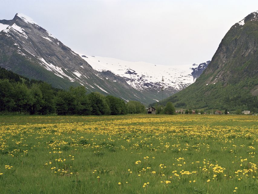 Fjords: Private Trip with Train and Cruise Ride - The Flåm Railway experience, plus the Bergen line connection