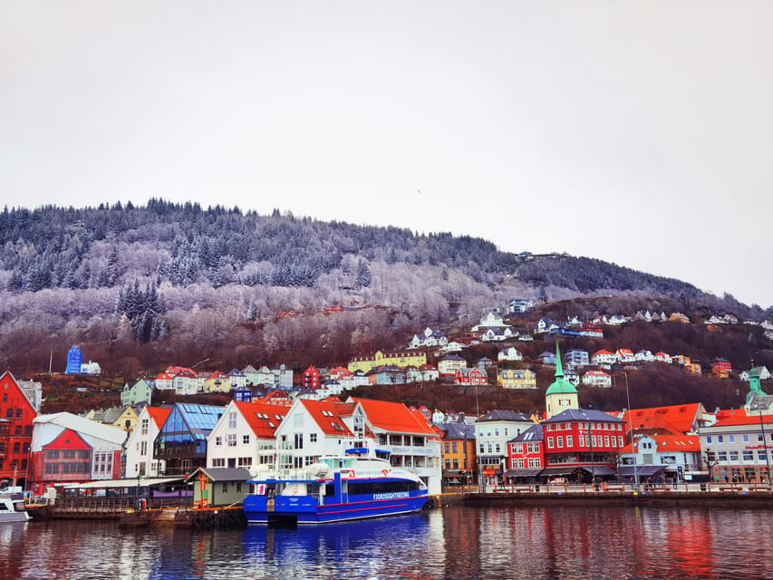 Flåm Flexible Tour with Stegastein, cruise and train include - Why This Fjord and Train Day Feels Less Rushed