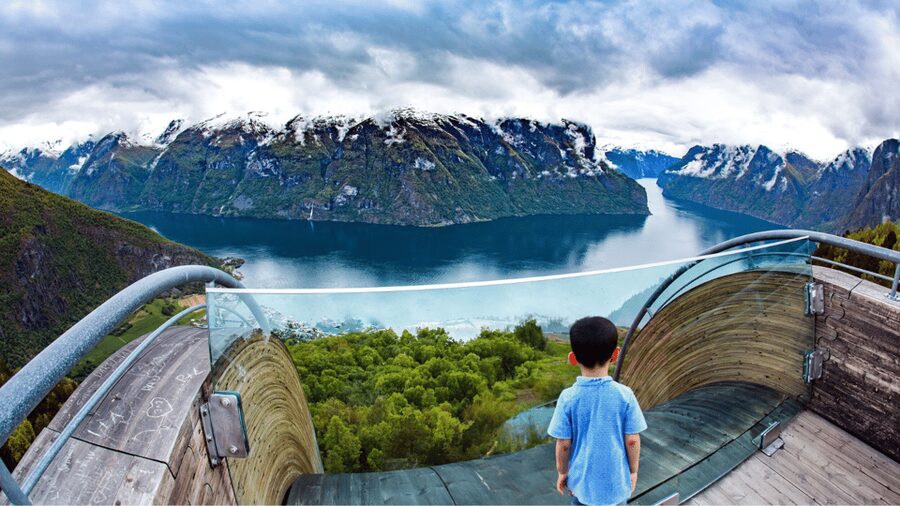 Flåm Flexible Tour with Stegastein, cruise and train include - Nærøyfjord 1.5-Hour Cruise, Then the Flåm Railway Magic