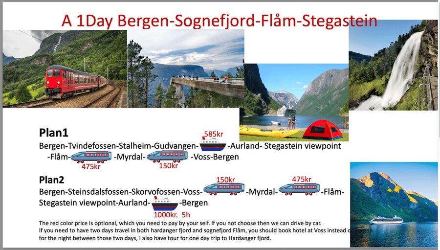 Flåm Flexible Tour with Stegastein, cruise and train include - Optional Add-Ons: Aurland Plateau, Borgund Stave Church, and Viking Valley