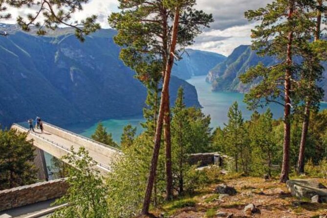 Flam: The Spectacular Stegastein Viewpoint Tour (Small Group) - Weather, crowds, and a simple photo plan