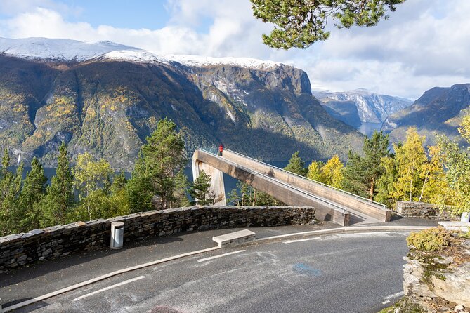Flam: The Spectacular Stegastein Viewpoint Tour (Small Group) - Who this tour suits best in Flåm