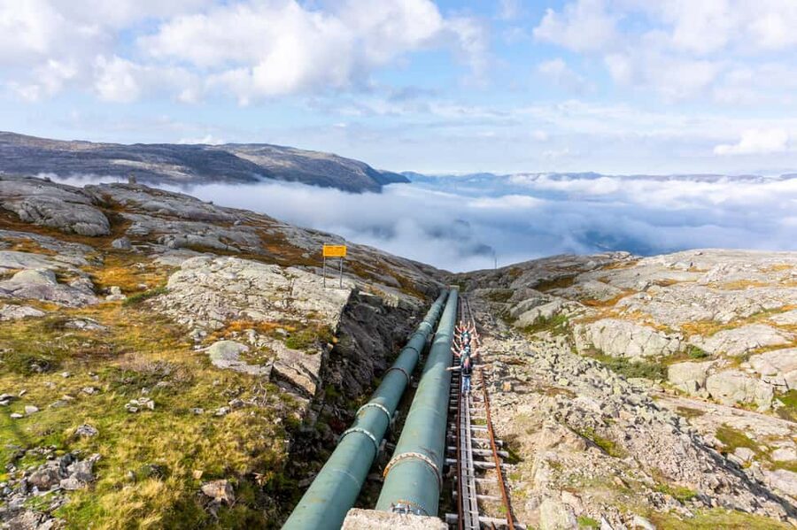 Flørli 4444: RIB & Hike - Lysefjord wildlife spotting: what to hope for, and how to enjoy the waiting
