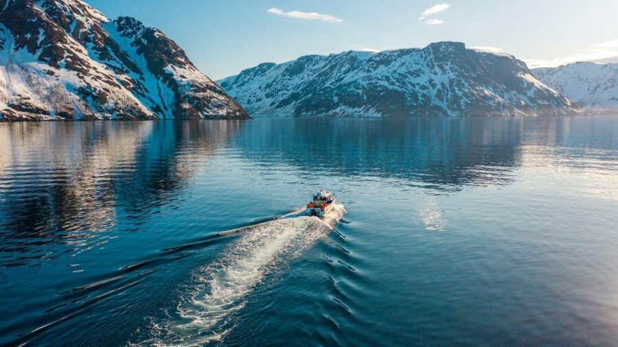 From Alta: Adventure Cruise in Alta Fjord - Key highlights at a glance
