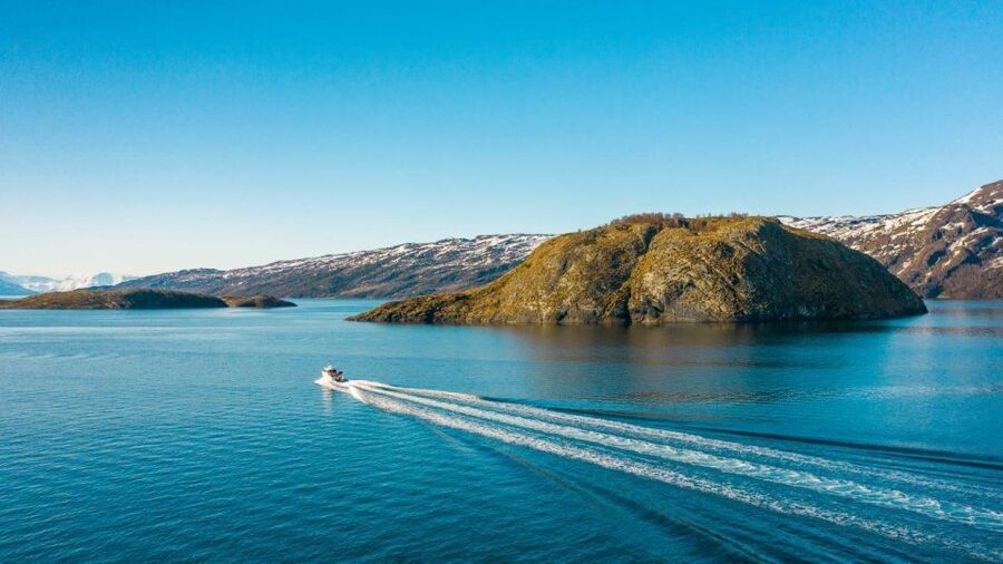 From Alta: Adventure Cruise in Alta Fjord - Alta Fjord Cruise with Icecube of Aurora: the value is the mix of water, wildlife, and local context