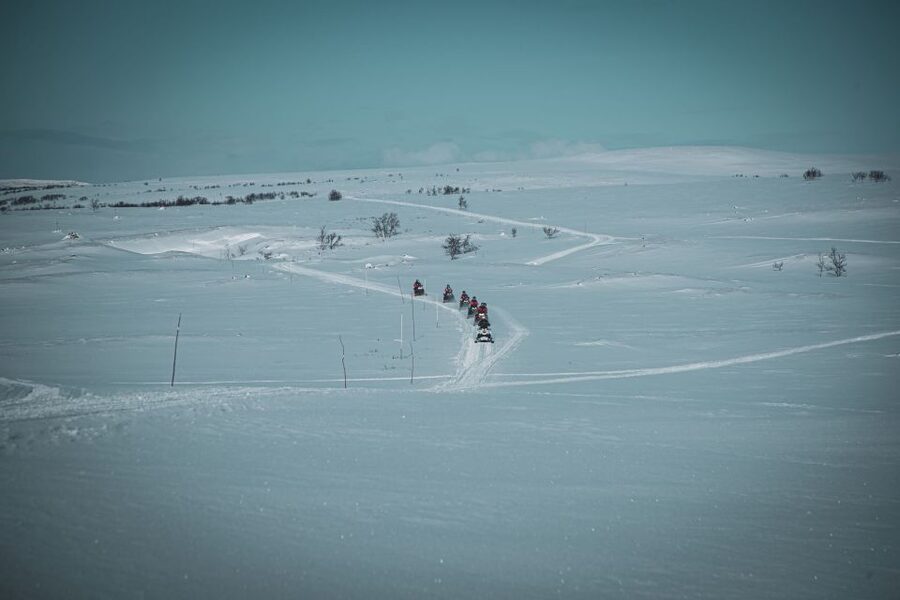 From Alta: Daytime Snowmobile Adventure - Key highlights to know before you go