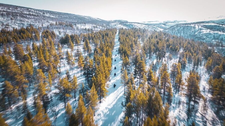 From Alta: Daytime Snowmobile Adventure - Price and value: why $296 can feel fair