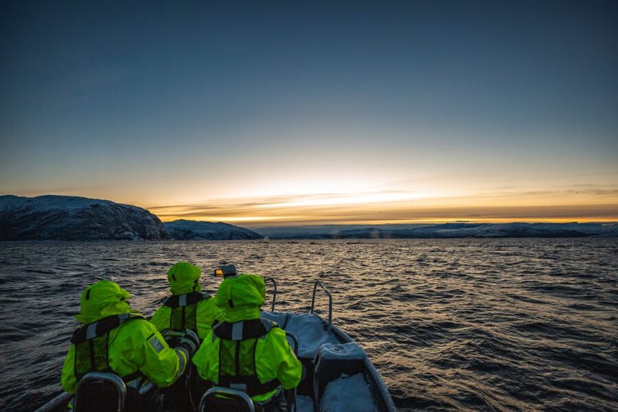 From Alta: Small Group Whale Watching by RIB - Why Winter Whale Watching From Alta Is So Special