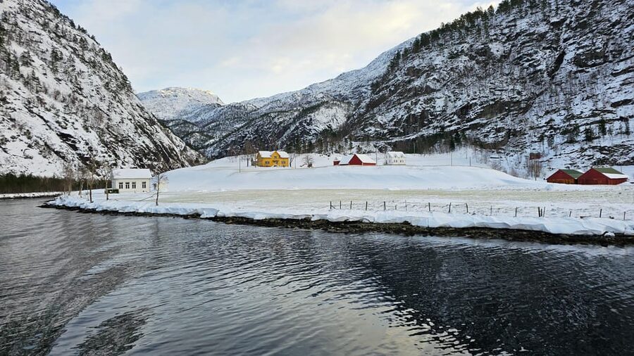 From Bergen: The Original Fjord Cruise to Mostraumen - What you will actually see: landmarks, photo moments, and wildlife odds