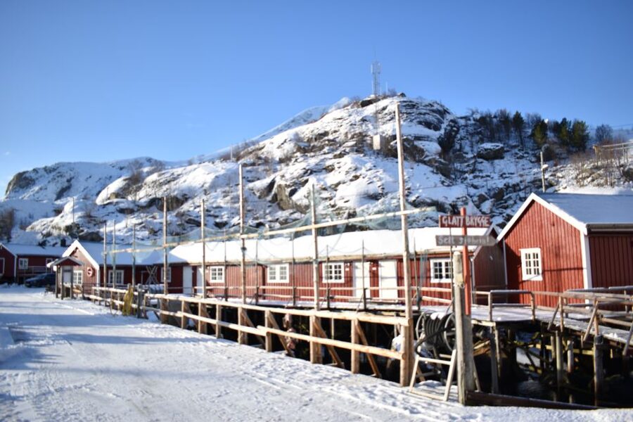 From Leknes City/Port: Private Lofoten Tour with Transfer - Should you book this private Lofoten tour from Leknes?