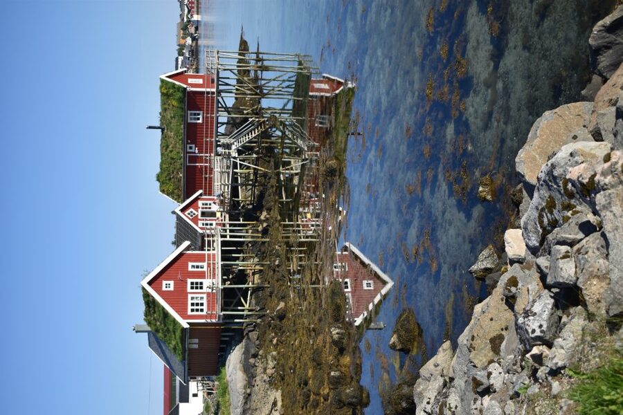 From Leknes City/Port: Private Lofoten Tour with Transfer - Heading to Å and the open-air museum of stockfish life