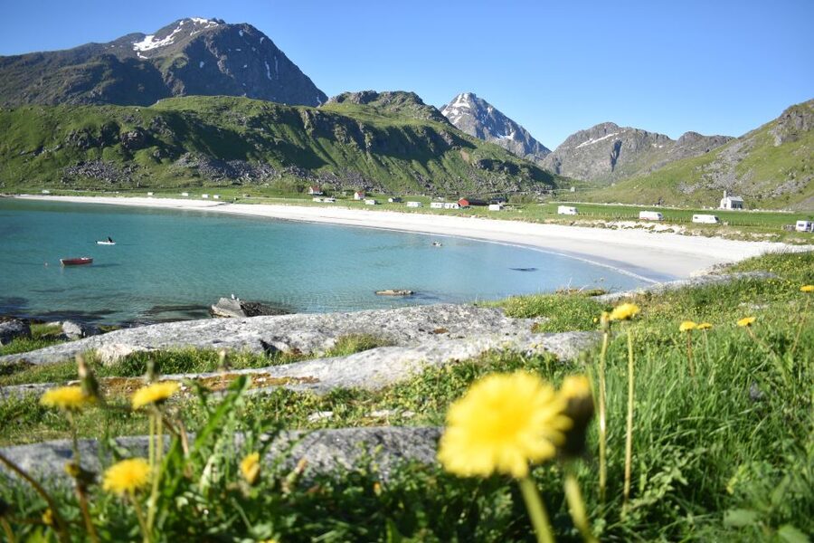 From Leknes City/Port: Private Lofoten Tour with Transfer - Andrea the guide, and what makes a private day work