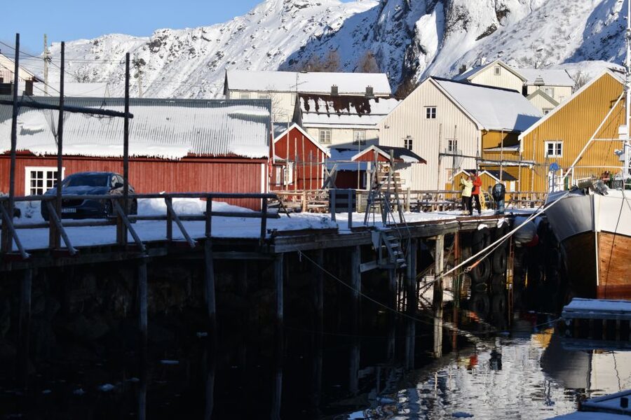 From Leknes City/Port: Private Lofoten Tour with Transfer - Price and logistics: what you are really paying for