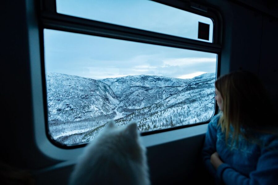 From Narvik: Roundtrip Arctic Train Ride on Ofoten Railway - What the audio guide adds, and how to use it without frustration
