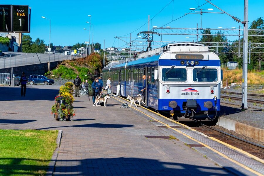 From Narvik: Roundtrip Arctic Train Ride on Ofoten Railway - Who should book this Arctic train ride, and who might skip it