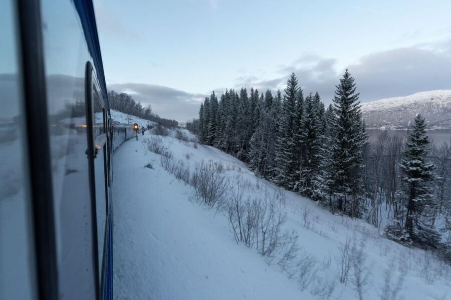 From Narvik: Roundtrip Arctic Train Ride on Ofoten Railway - Should you book this Ofoten Line roundtrip from Narvik?