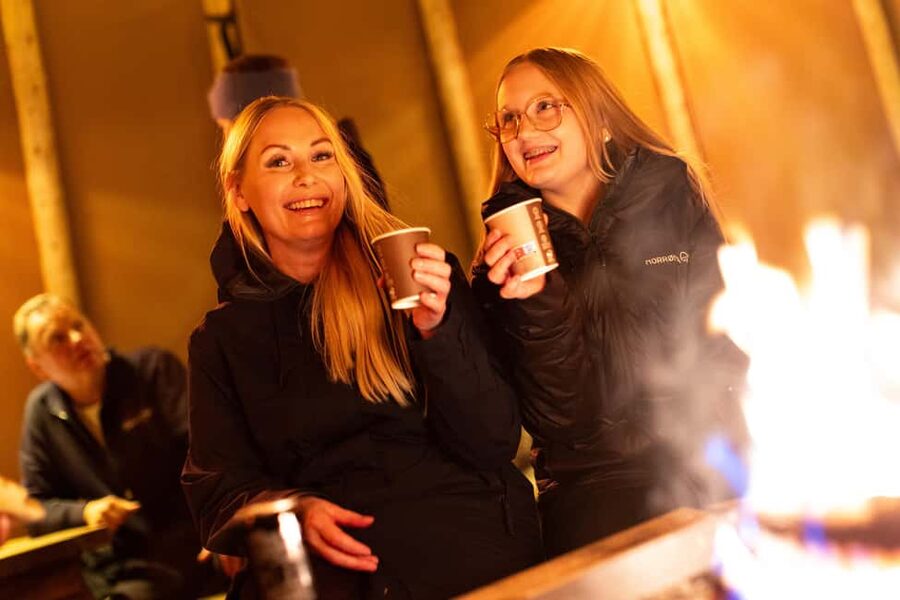 From Narvik: The Northern Lights Arctic Train Guided Tour - Price and value: $156 for a structured 3 hour Arctic night