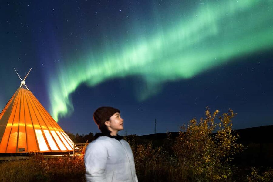 From Narvik: The Northern Lights Arctic Train Guided Tour - Who this tour is best for, and the few watch outs