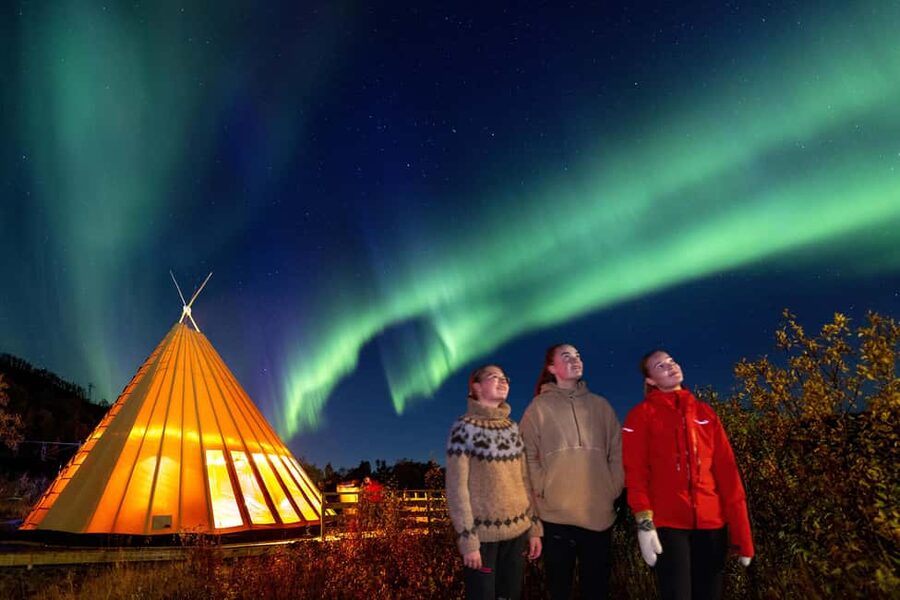 From Narvik: The Northern Lights Arctic Train Guided Tour - Should you book this Northern Lights Arctic Train Tour?