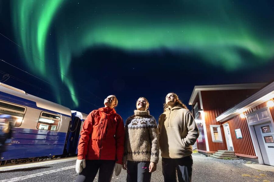 From Narvik: The Northern Lights Arctic Train Guided Tour - The 45 minute train ride that preps you for the Arctic night