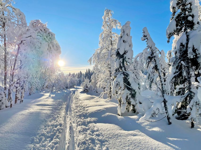 From Oslo: Oslomarka Forest Guided Snowshoeing Tour - From Backstube Opera to Frognerseteren, the easy Oslo start