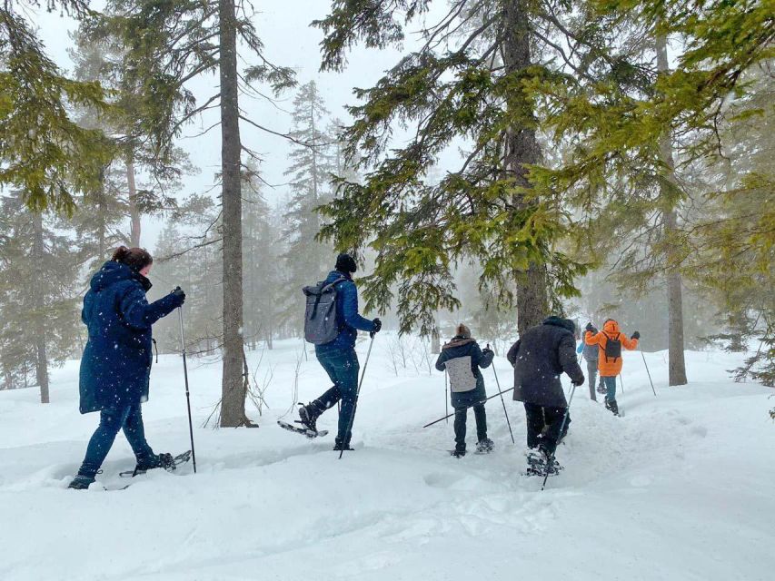 From Oslo: Oslomarka Forest Guided Snowshoeing Tour - What to wear for cold hands, cold feet, and snowy surprises