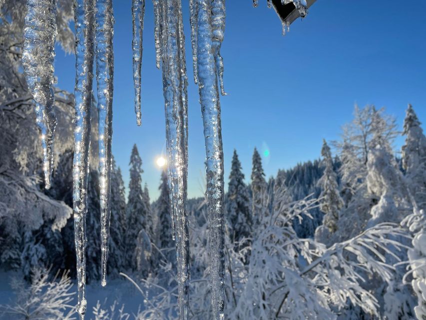 From Oslo: Oslomarka Forest Guided Snowshoeing Tour - Price and value at about $105 per person