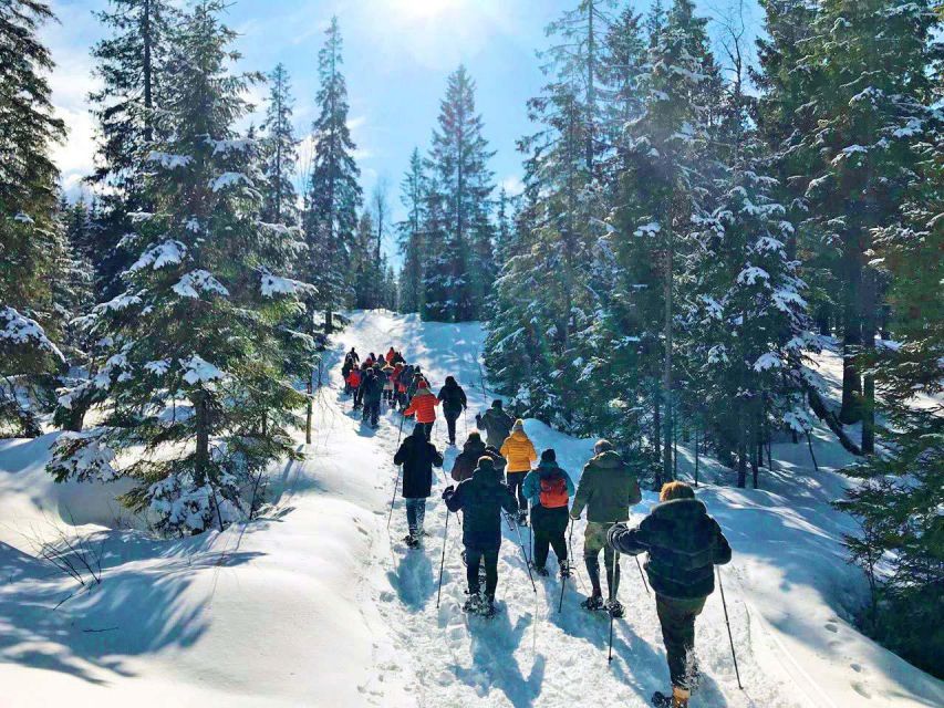 From Oslo: Oslomarka Forest Guided Snowshoeing Tour - Guide names you might get, and what they tend to do well