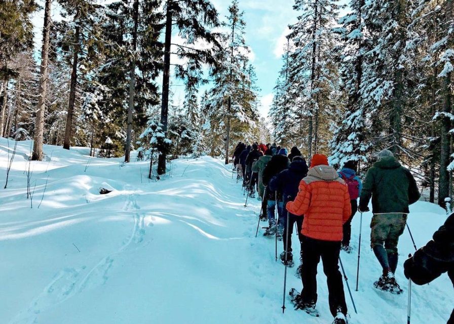 From Oslo: Oslomarka Forest Guided Snowshoeing Tour - Snowshoeing basics that keep the pace friendly