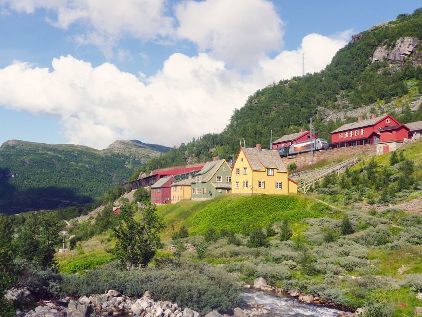 From Oslo: Private Round-Trip Tour to Sognefjord via Flåm - Geilo to Myrdal by train, setting the mood before Flåm