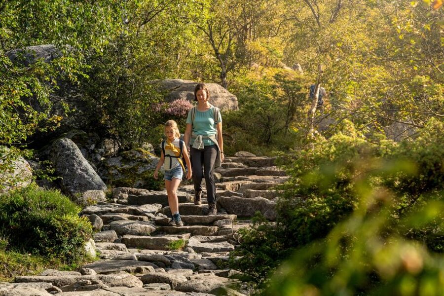 From Stavanger: Pulpit Rock Guided Hike with Pickup - The van ride back: less stress, more time to recover
