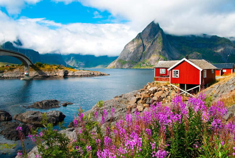 From Svolvaer: 2-Day Lofoten Highlights Photo Tour - Who this photo tour suits best, and who should reconsider