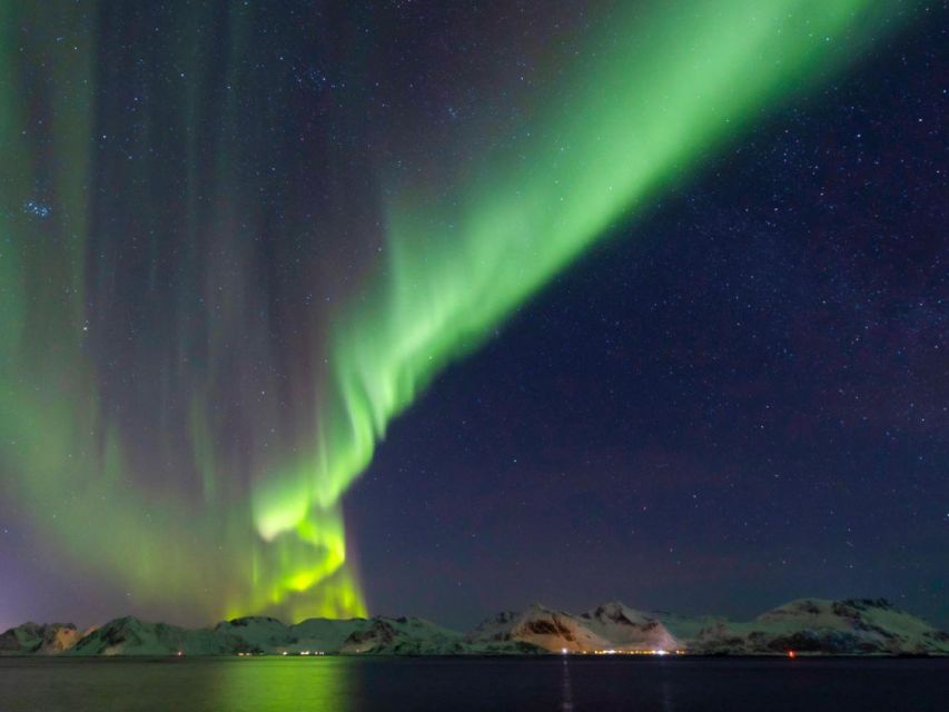 From Svolvær: Guided Northern Lights Tour by Van - Key things I’d plan around