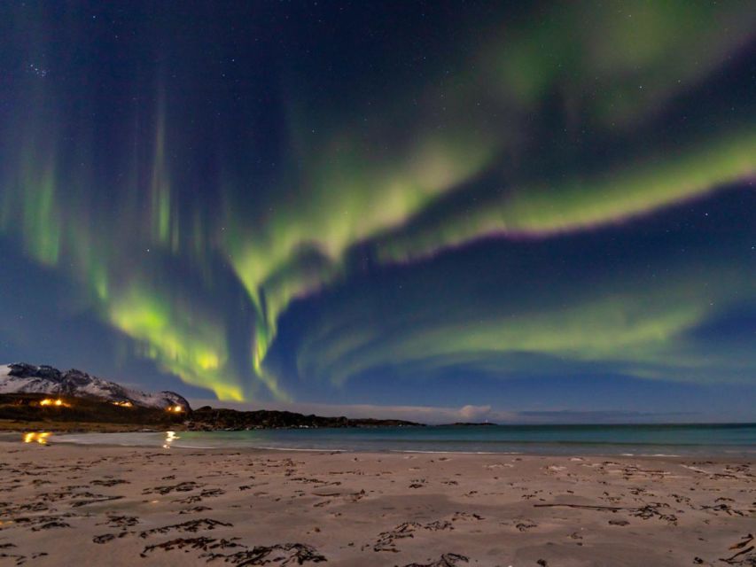 From Svolvær: Guided Northern Lights Tour by Van - A 4-hour aurora plan that starts at Svolvær Tourist Information