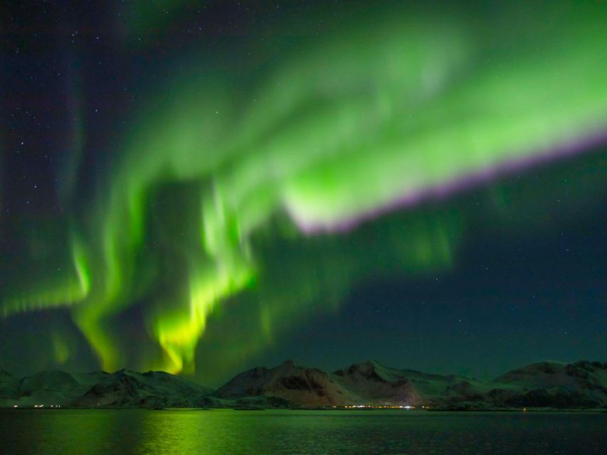 From Svolvær: Guided Northern Lights Tour by Van - Photo help that goes beyond handing you a camera