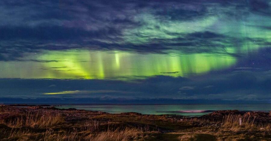 From Svolvær: Guided Northern Lights Tour by Van - Why a guided van tour is worth it in Lofoten winter