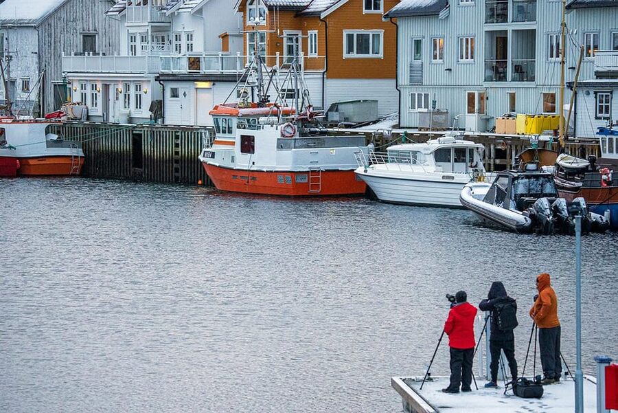 From Svolvær: Half Day Lofoten History and Photo Tour - Value at $152 for 5 hours, and what you should expect